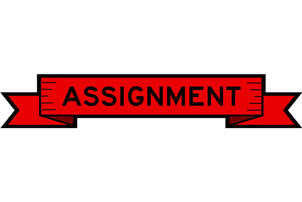 Assignment Summary